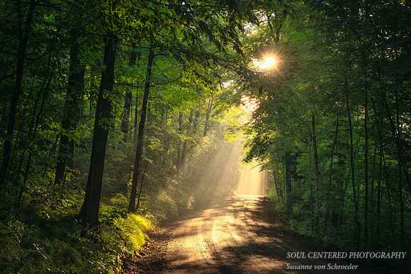 Sun rays on a foggy morning, Blue Hills 2