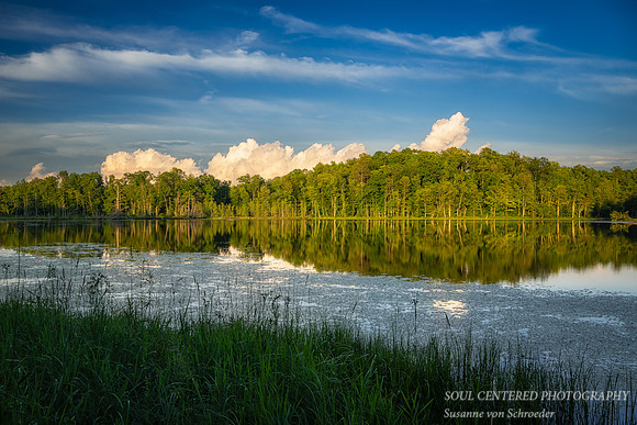 Summer reflections with clouds at Perch Lake, July '25