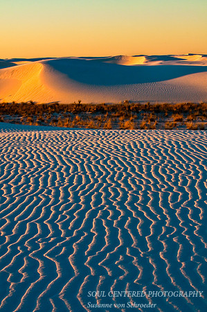 Dunes at sunrise