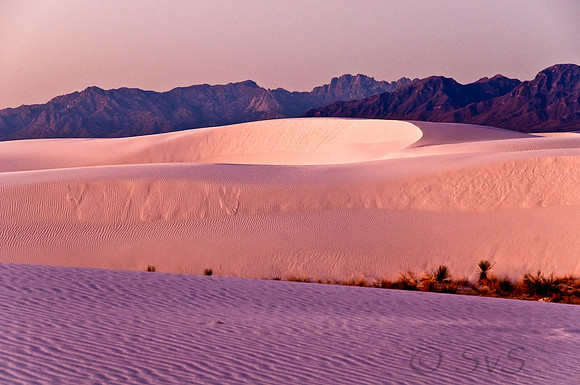 San Andres Mts. w. dunes