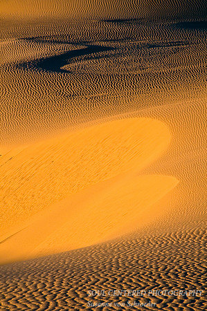Dunes 1