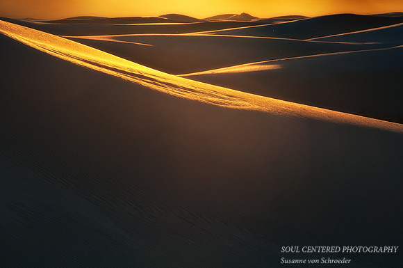 Dunes in golden light