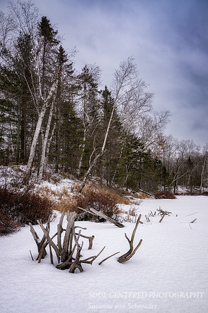 Cloudy winter day at Audie Lake 2