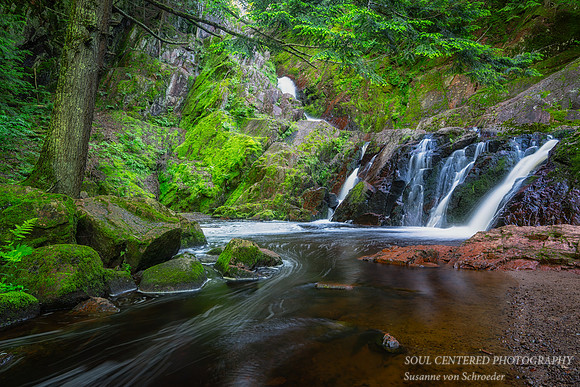 Morgan Falls, June '24