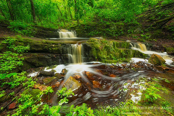 Devil's Kettle, Blue Hills, June '24